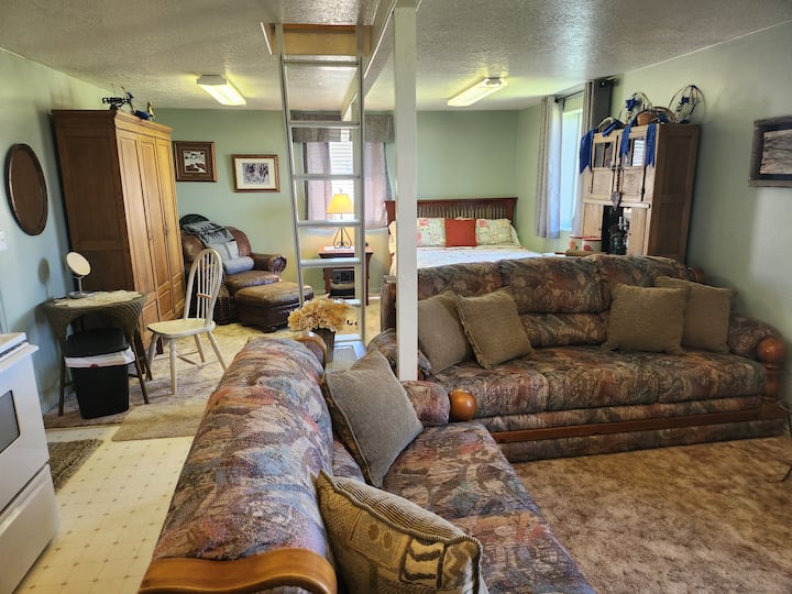 cuisine/salon avec lit Queen Size en arrière-plan 