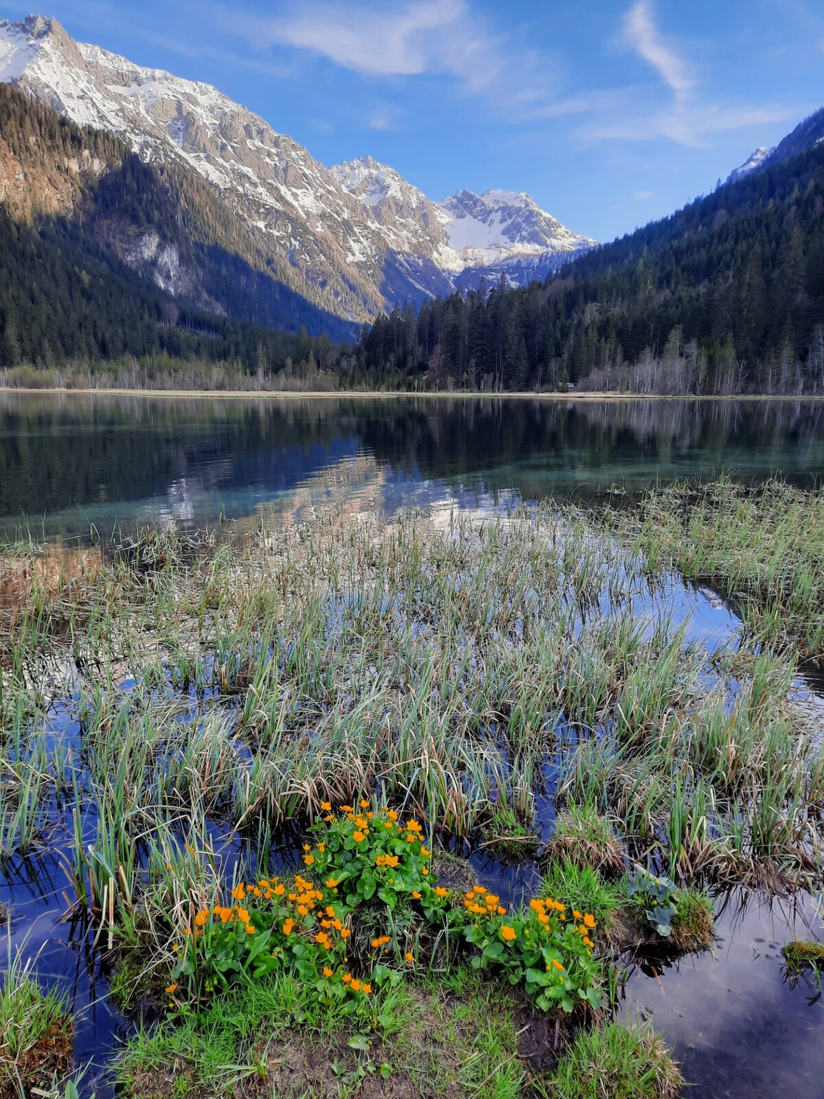 A tranquil scene showcases a lake surrounded by lush greenery and mountains in the background. Bright orange flowers add a natural pop of color in the foreground, reflecting the vibrant hues against the calm water, while snow-capped peaks rise majestically in the distance.