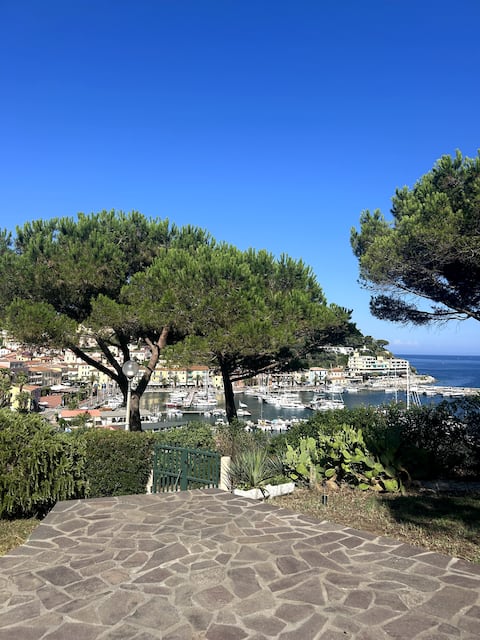 Best House with pool in Elba Island