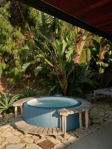 Malibu Mid-Century Modern Luxury Home Ocean Views gallery image 3