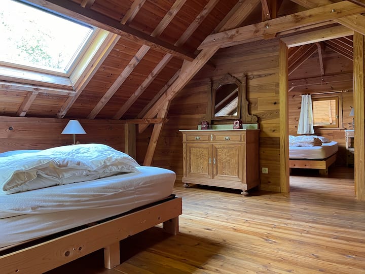 Habitación 1