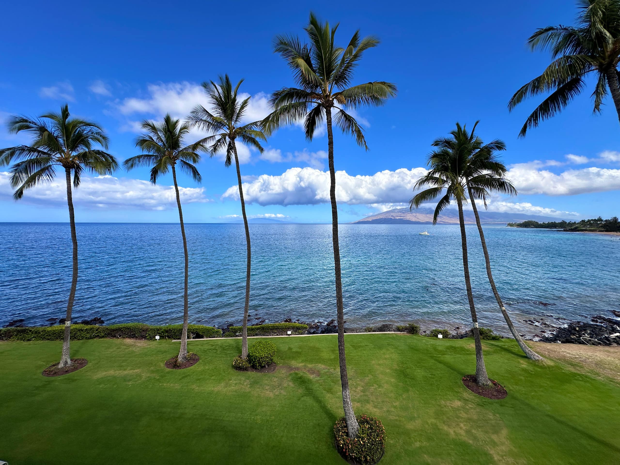 Condo in Kihei · ★4.97 · 1 bedroom · 2 beds · 1 bath - Image 19