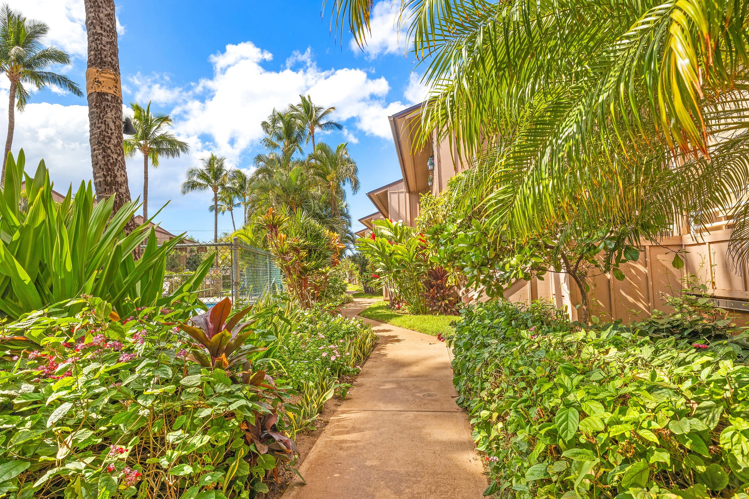 Great condo steps away from beach - Image 40