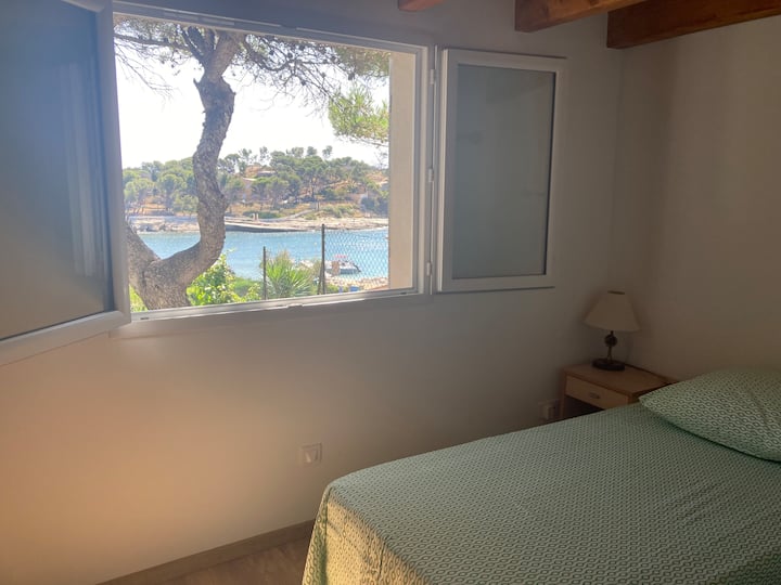 Vista desde la habitación