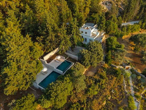 forest view villas 1