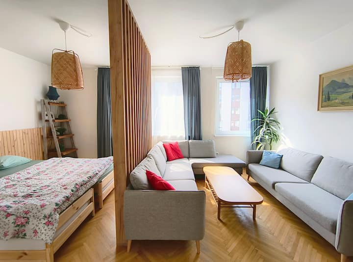 Bedroom / Livingroom (there is also TV here)