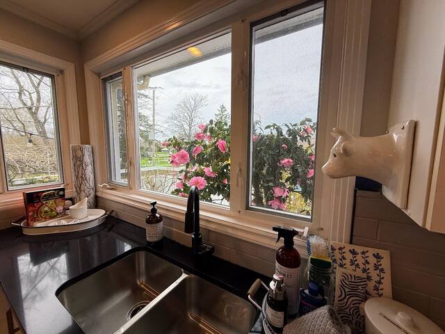 Family Cottage @ Horner Park gallery image 5