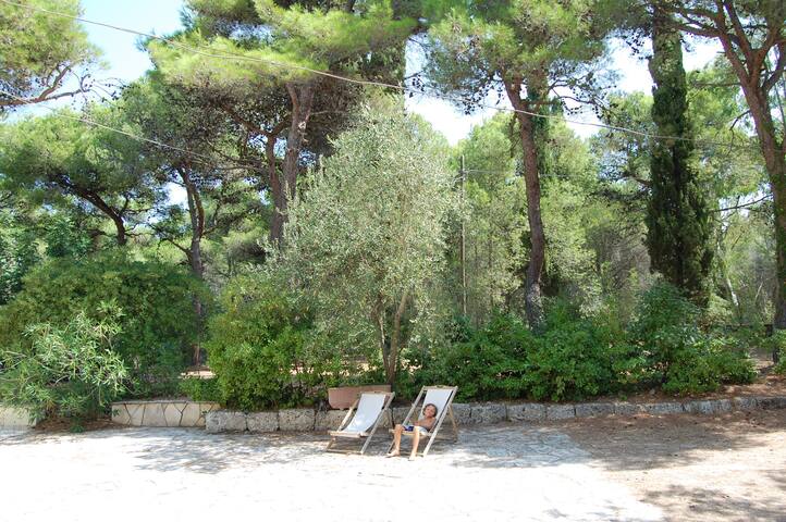villa with large garden near the sea gallery image 5