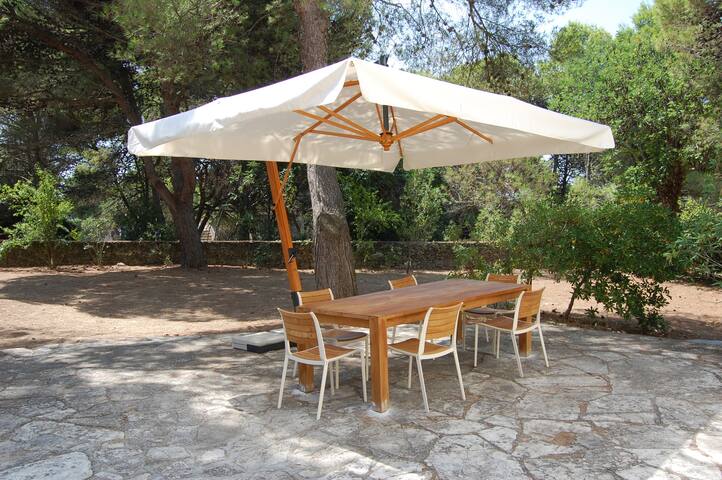 villa with large garden near the sea gallery image 3