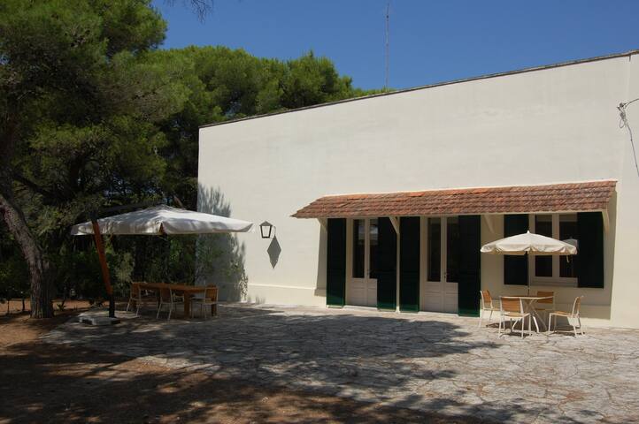 villa with large garden near the sea gallery image 2