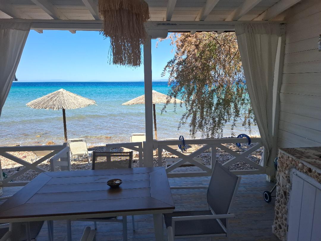 A covered terrace features a wooden table and chairs, providing a relaxed dining space. Sun umbrellas and lounge chairs are visible on the beach, while the bright blue sea gently laps at the shore. Natural elements like a hanging light fixture and greenery enhance the coastal ambiance.