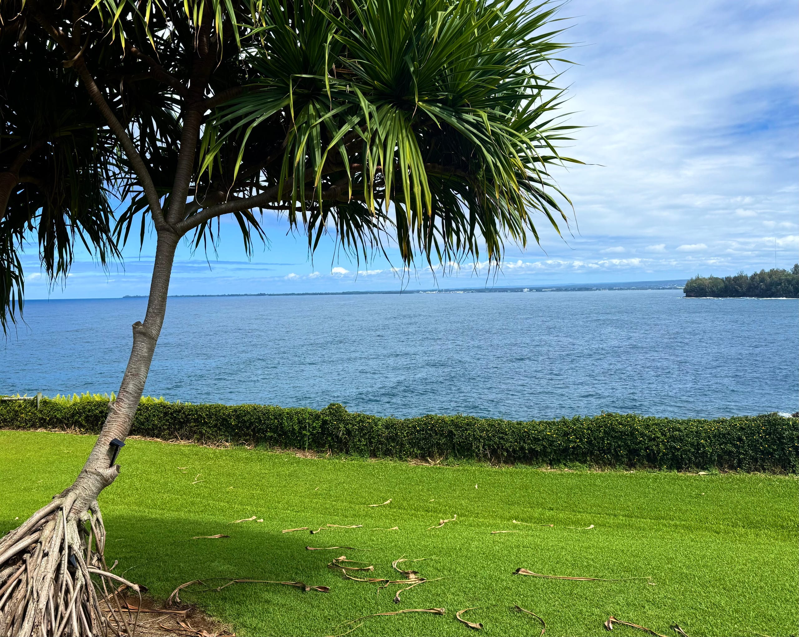 Home in Papaikou · ★4.94 · 3 bedrooms · 4 beds · 3 baths - Photo 30