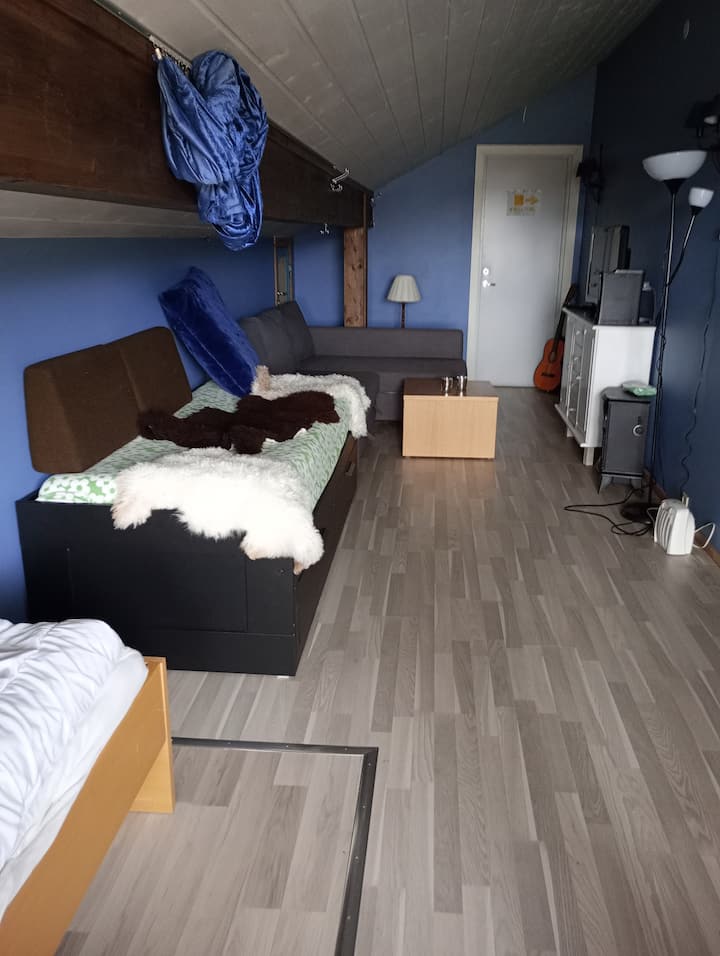 C'est mon appartement. 

Salon et chambre en un. Il y a des rideaux qui filtrent quelque chose pour la lumière de la télévision dans le lit