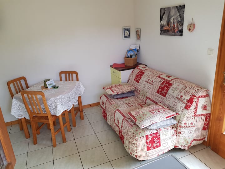 Lumineux Logement Dans Chalet Vosgien - Lorraine