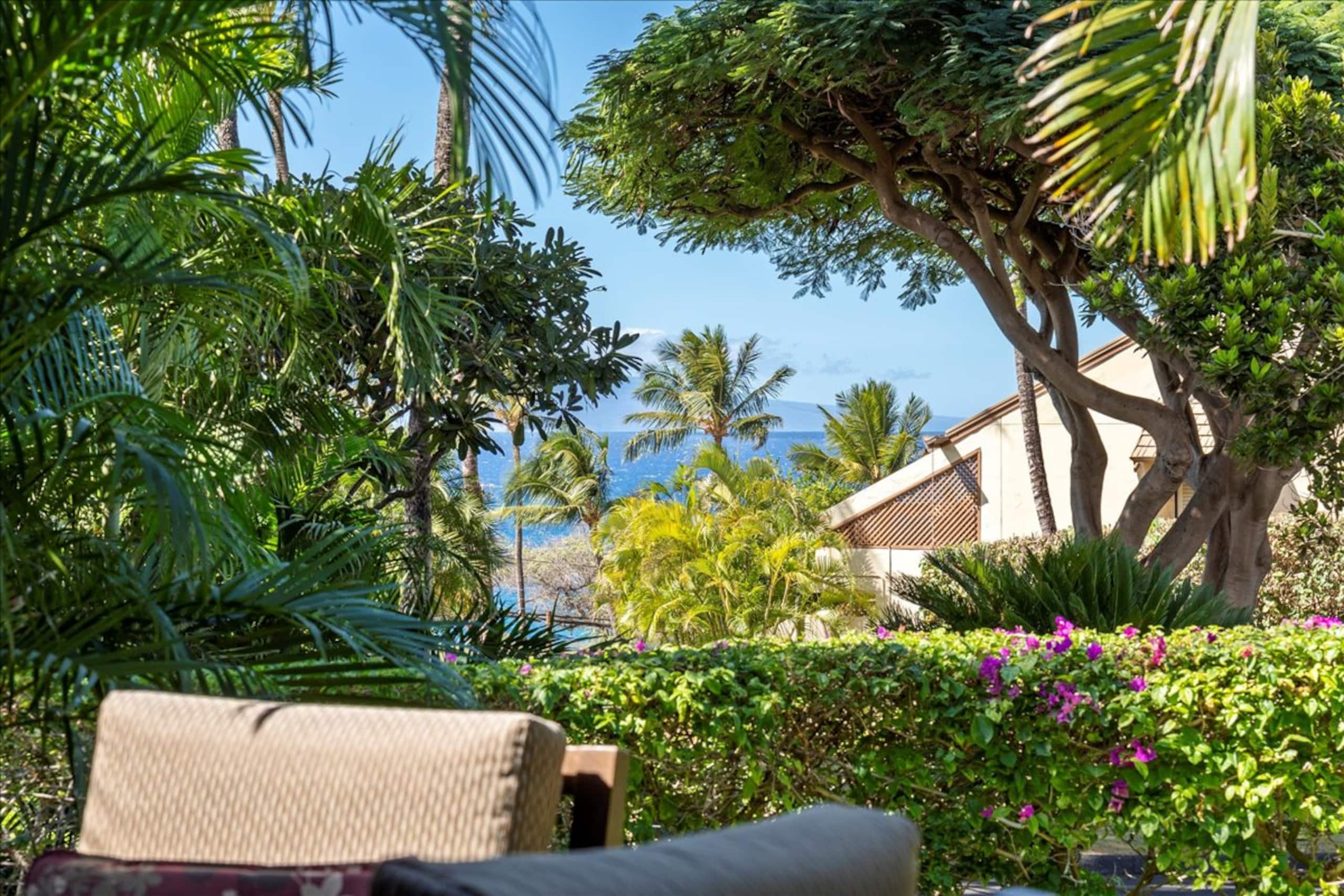 Condo in Kihei · ★4.97 · 1 bedroom · 2 beds · 2 private baths - Image 20