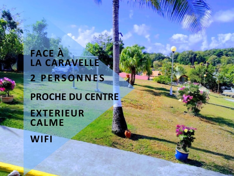 A well-maintained exterior area showcases lush green grass and palm trees, with colorful flowering plants strategically placed. A peaceful atmosphere is highlighted, and facilities such as seating and lighting can be seen in the background, contributing to a relaxing outdoor space.