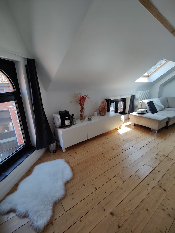 Romantic Room 5/min Centre Of Ghent W/free Bikes - Gante