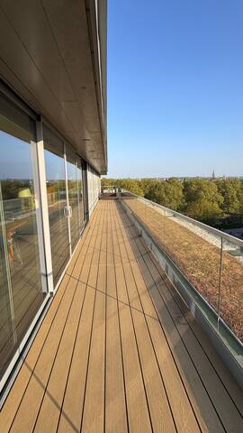 View Landmarks from This Luxury Penthouse Apartment gallery image 2