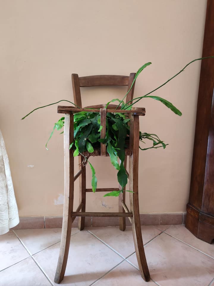 Vigna Renaro