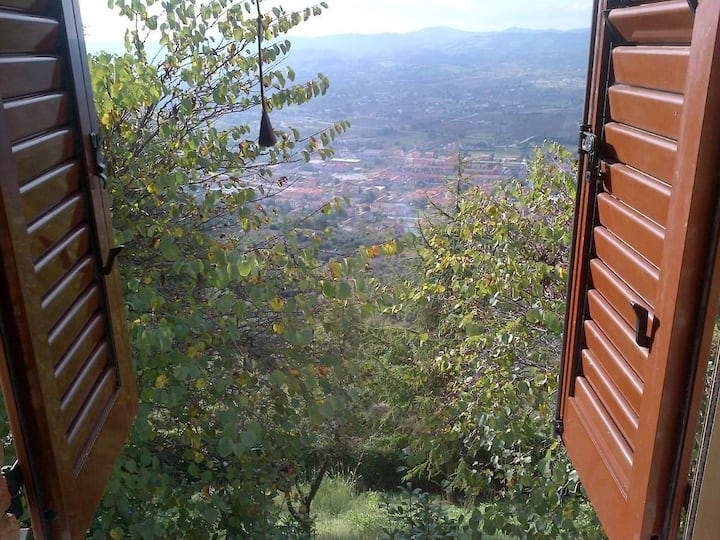 Vigna Renaro