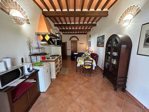 Popular Airbnb listing: Gelsomino, accommodation on a farm with a swimming pool in Pisa