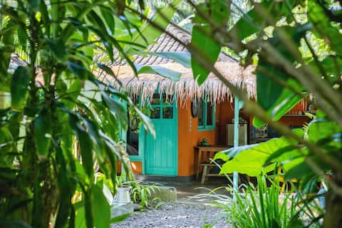 Hidden Well – the writers' secret orchid garden