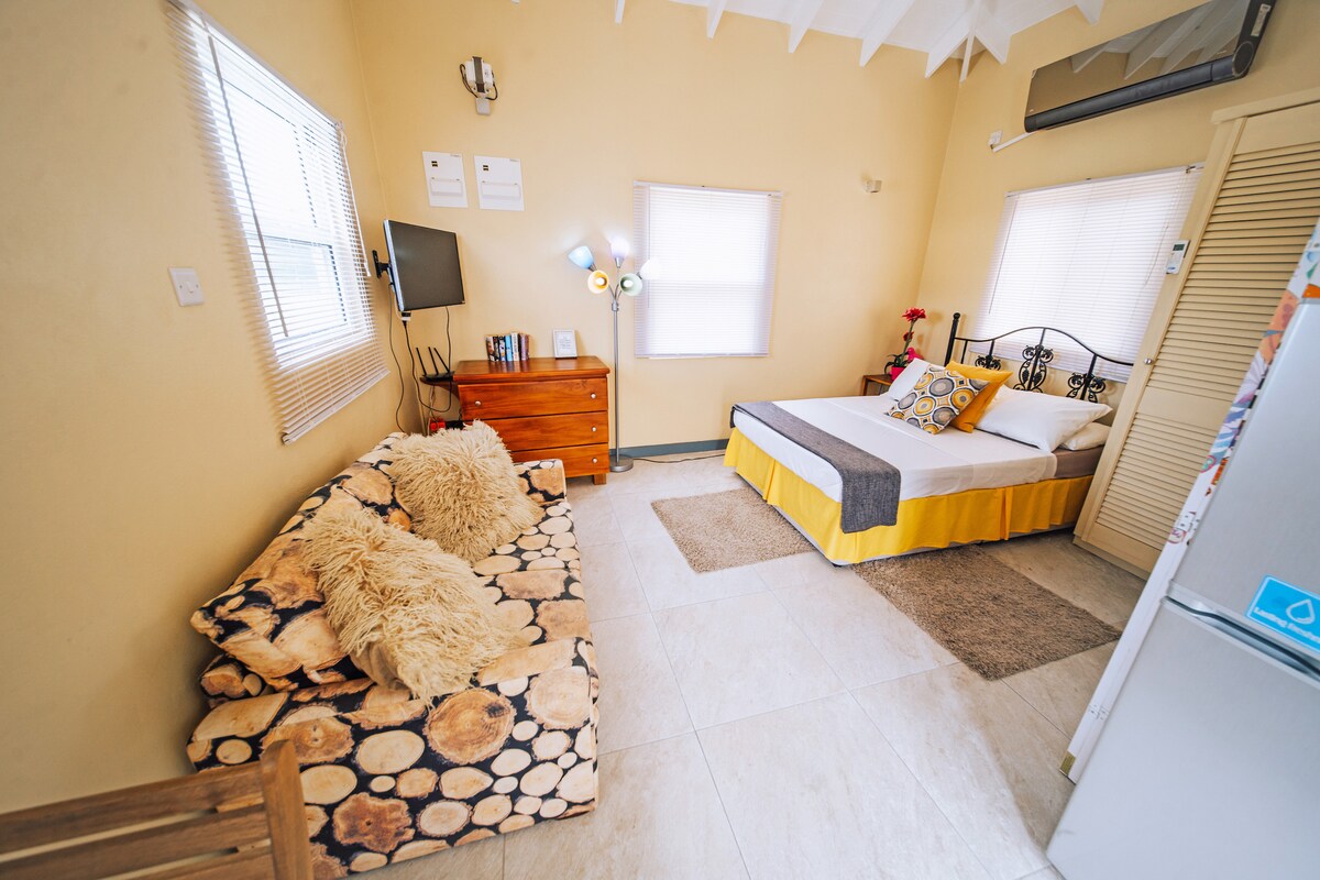 A bright studio space features a spacious bed with layered bedding. A cozy sofa adorned with fluffy cushions complements the room. A wooden dresser and a wall-mounted TV are visible, while natural light enters through screened windows, showcasing a warm and welcoming interior.