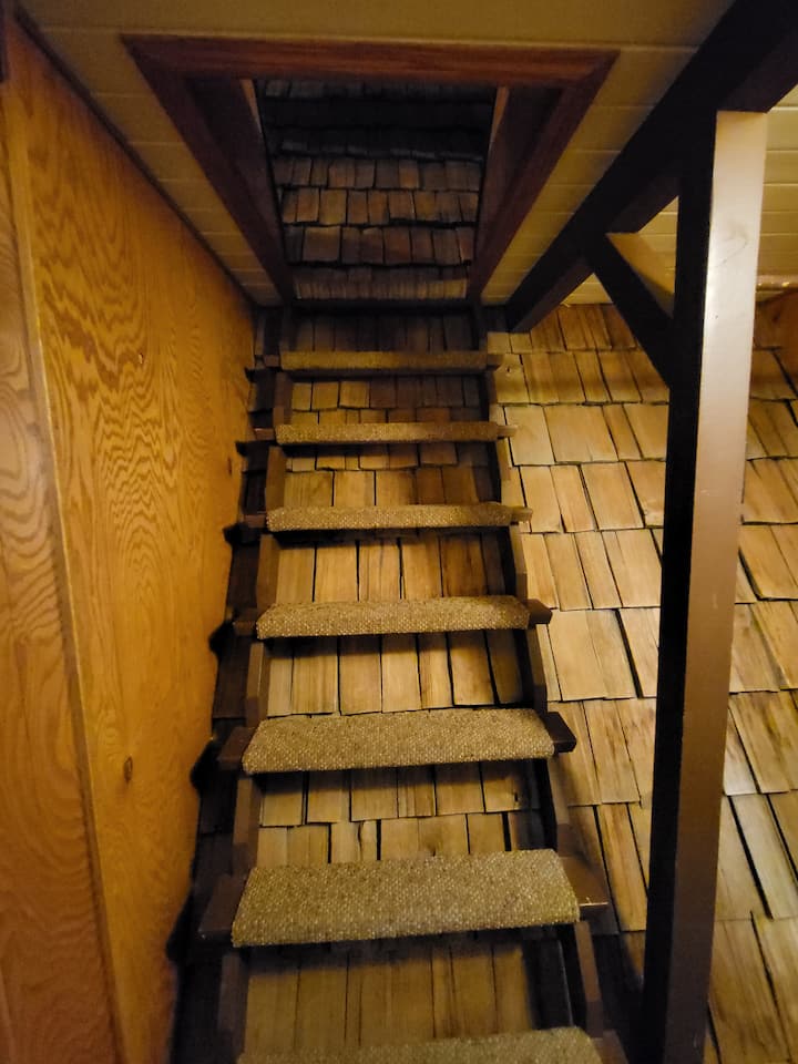 Escaliers vers des lits superposés