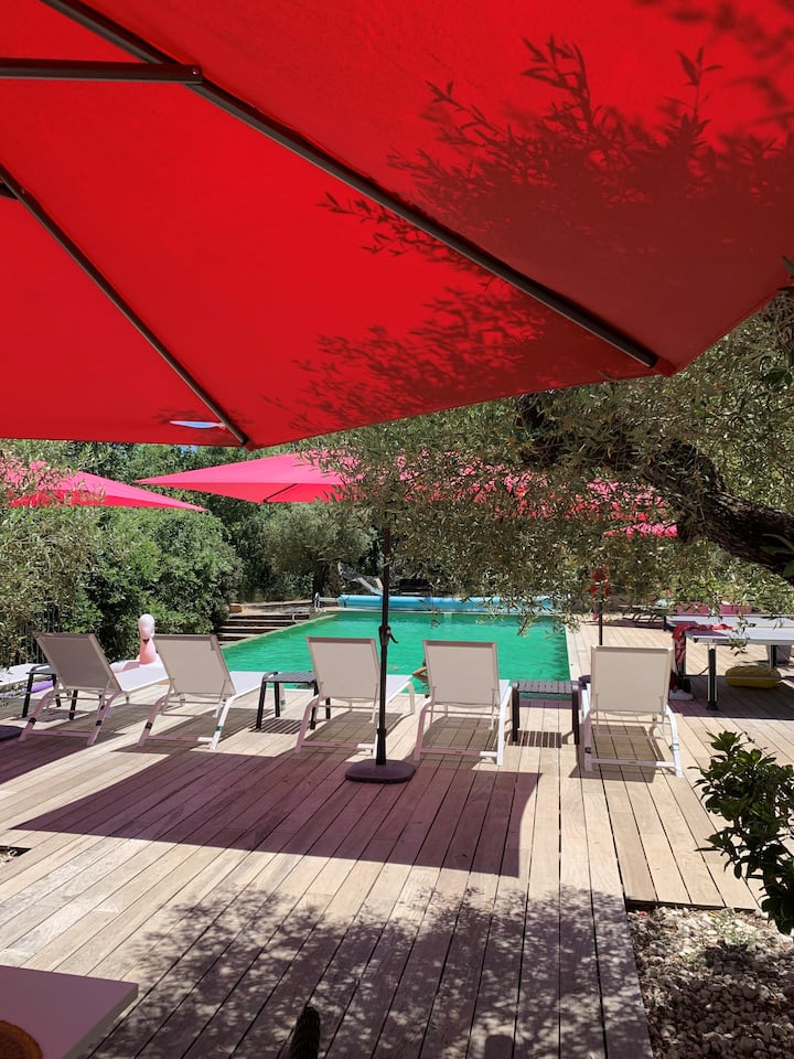 Всекидневна зона