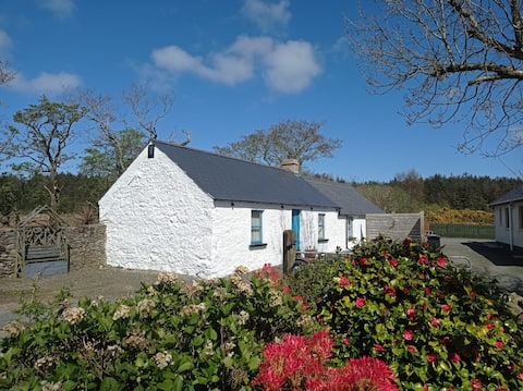 Cosy Cottage on Causeway Coast & Glens Sleeps 4