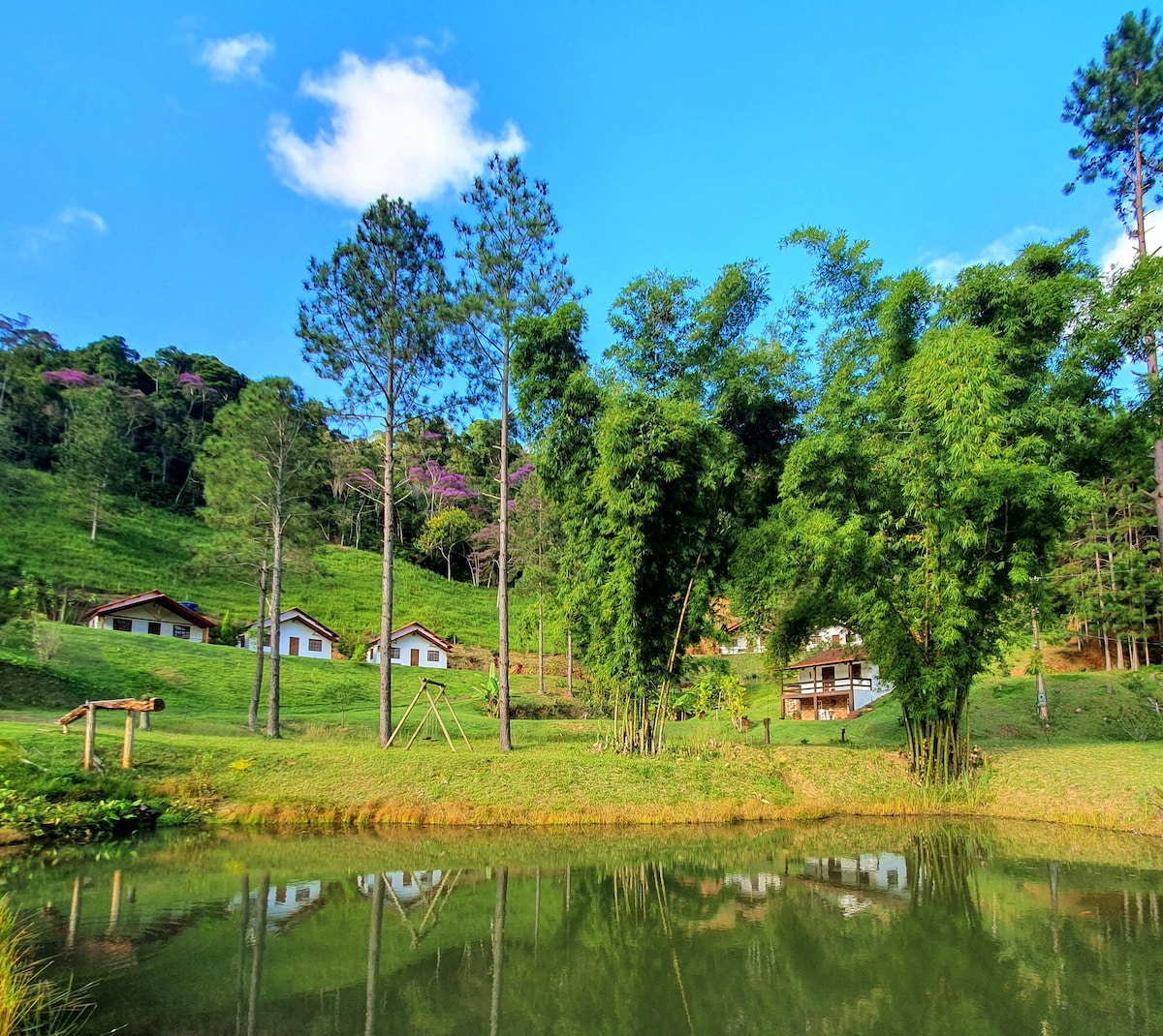 A serene landscape showcases a clear pond surrounded by lush greenery and tall trees. Several charming chalets are set on gently sloping hills, framed by vibrant foliage. The sky is bright with scattered clouds, enhancing the peaceful mountain atmosphere.
