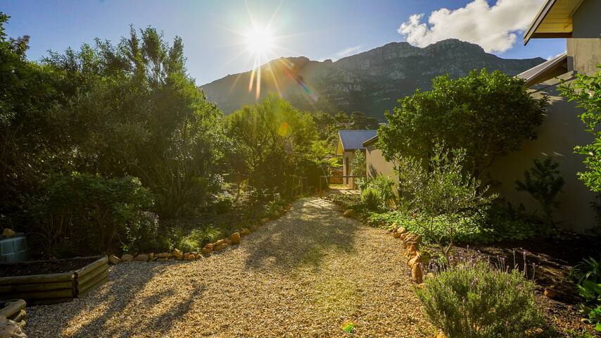 Family home in top security estate, Hout Bay gallery image 5