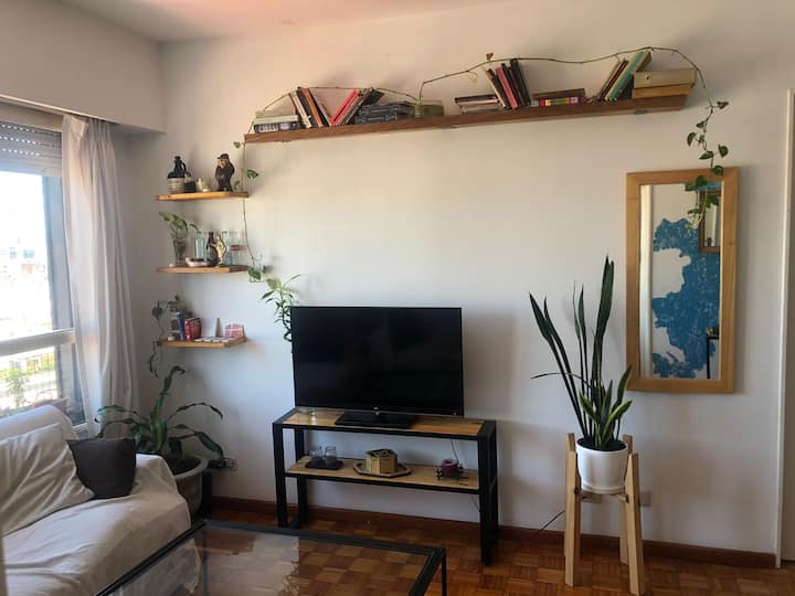 Трёхкомнатная квартира в Recoleta