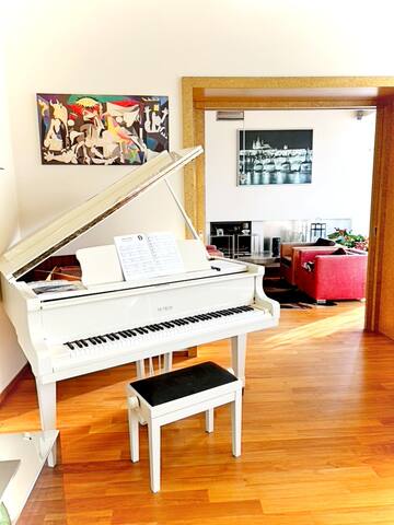 Large luxury villa in central Prague gallery image 4