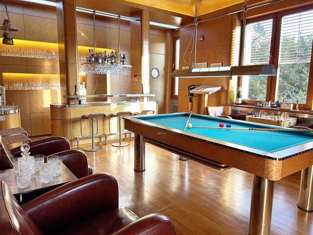 Large luxury villa in central Prague gallery image 3