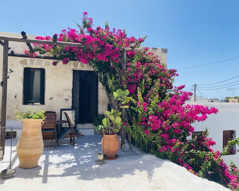 Cute & Stylish 1 Bedroom with 2 Terraces