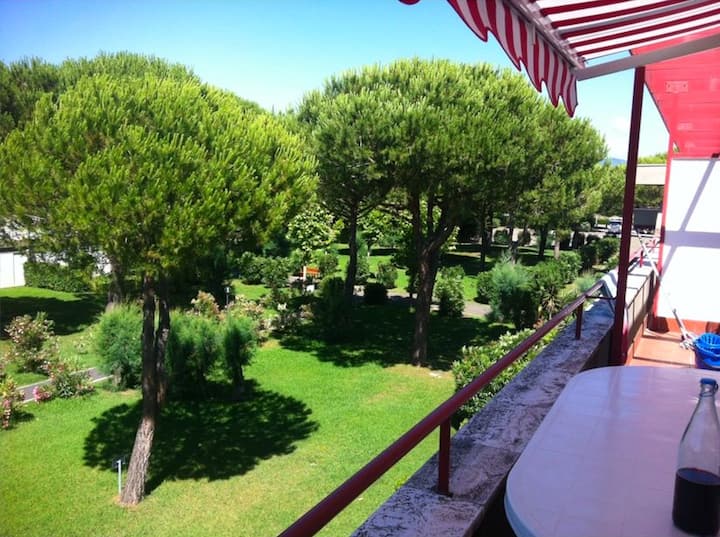 Apartment In Marina Di Bibbona - Bibbona