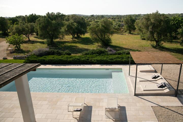 Cisternino villa in olive groove gallery image 3