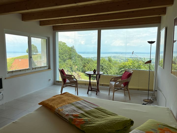 საცხოვრებლის ზონიდან თითქმის მთლიანი ბოდენის ტბა ჩანს