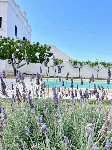 Masseria Mammella with pool and by the beaches gallery image 3