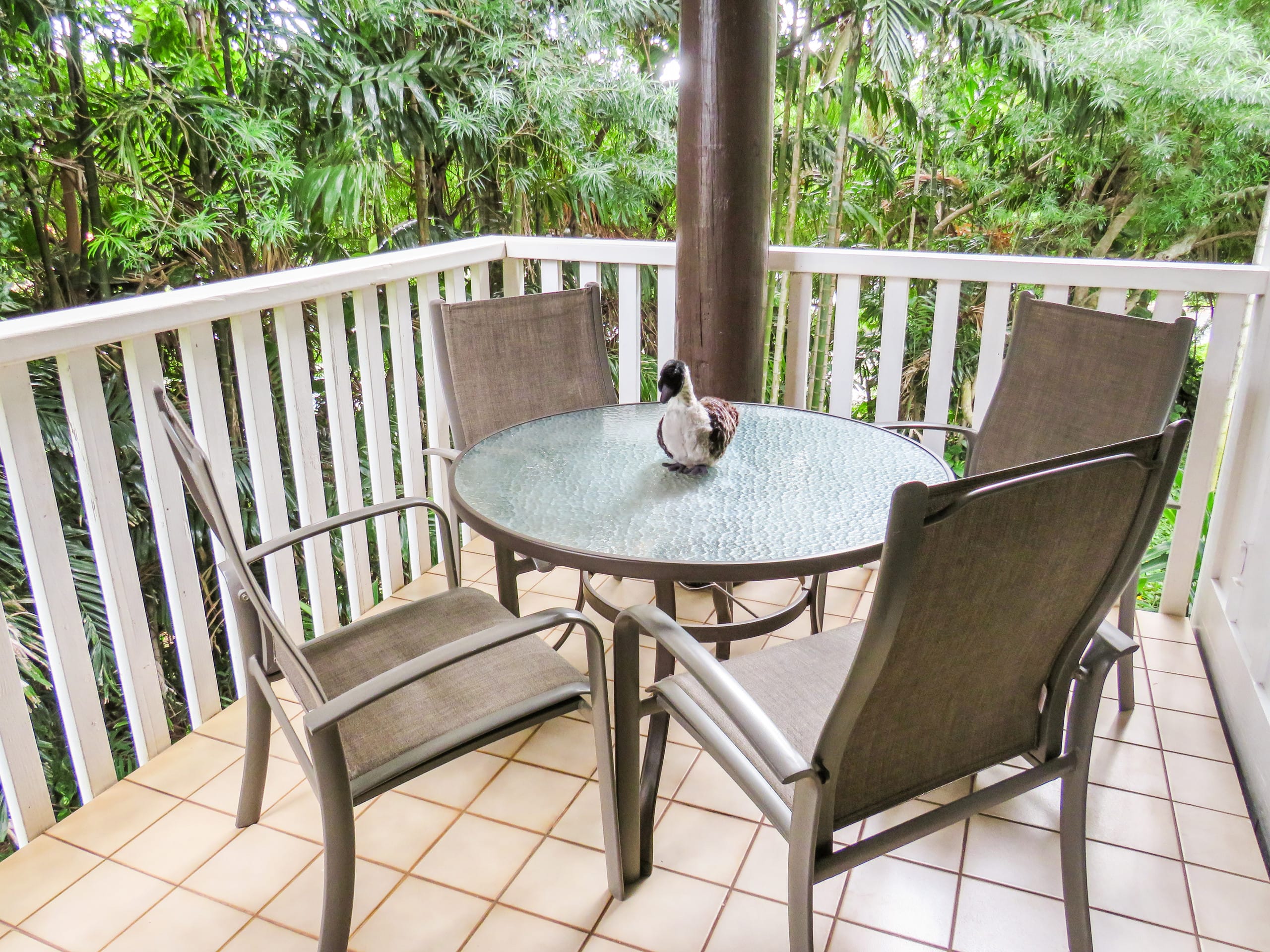 Condo in Koloa · ★4.92 · 1 bedroom · 2 beds · 1 private bath - Image 16