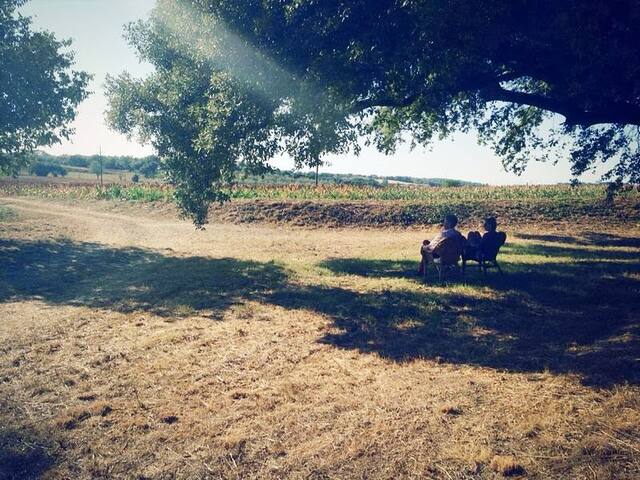 Mas Catala gallery image 5