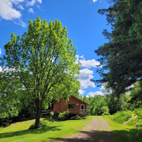 Woodlands Wild Cabin on 35 Acres - dog friendly