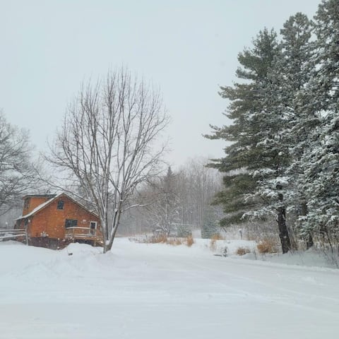 Woodlands Wild Cabin on 35 Acres - dog friendly