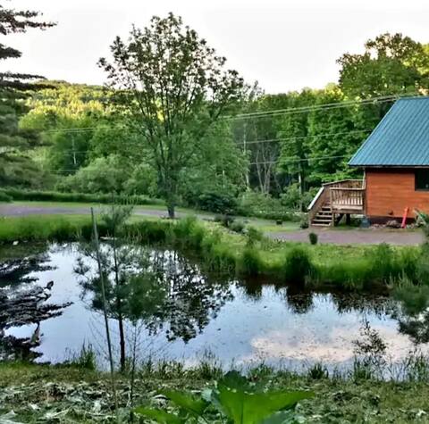 Woodlands Wild Cabin on 35 Acres of Land