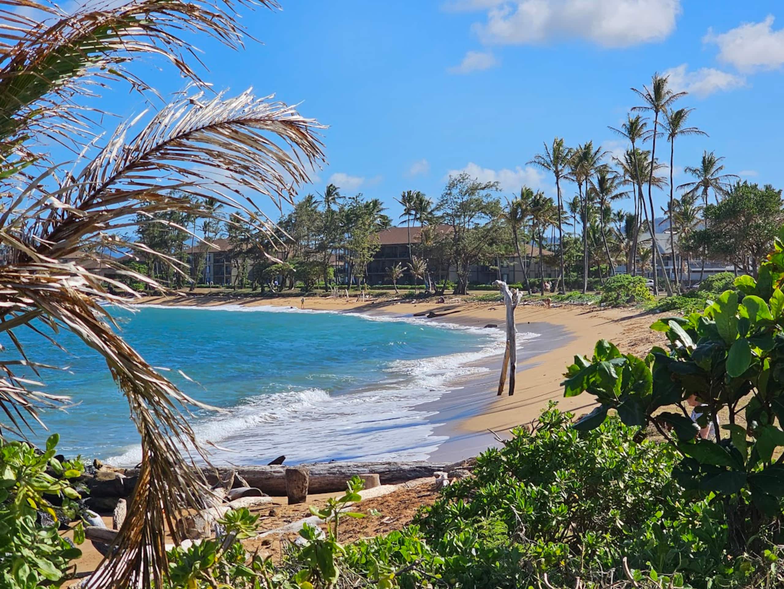 ♥ Stylish Spacious 1BR 2 floor Loft close to beach - Photo 74