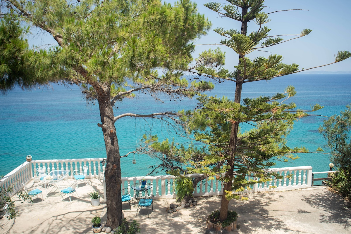 A seafront terrace showcases two tall trees providing shade against the bright blue sea. A selection of blue and white outdoor furniture can be seen, inviting relaxation while enjoying the stunning coastal view. The surrounding area is adorned with greenery, enhancing the natural ambiance.
