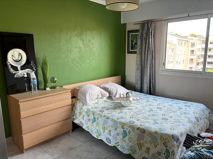 تشامبر زيتون