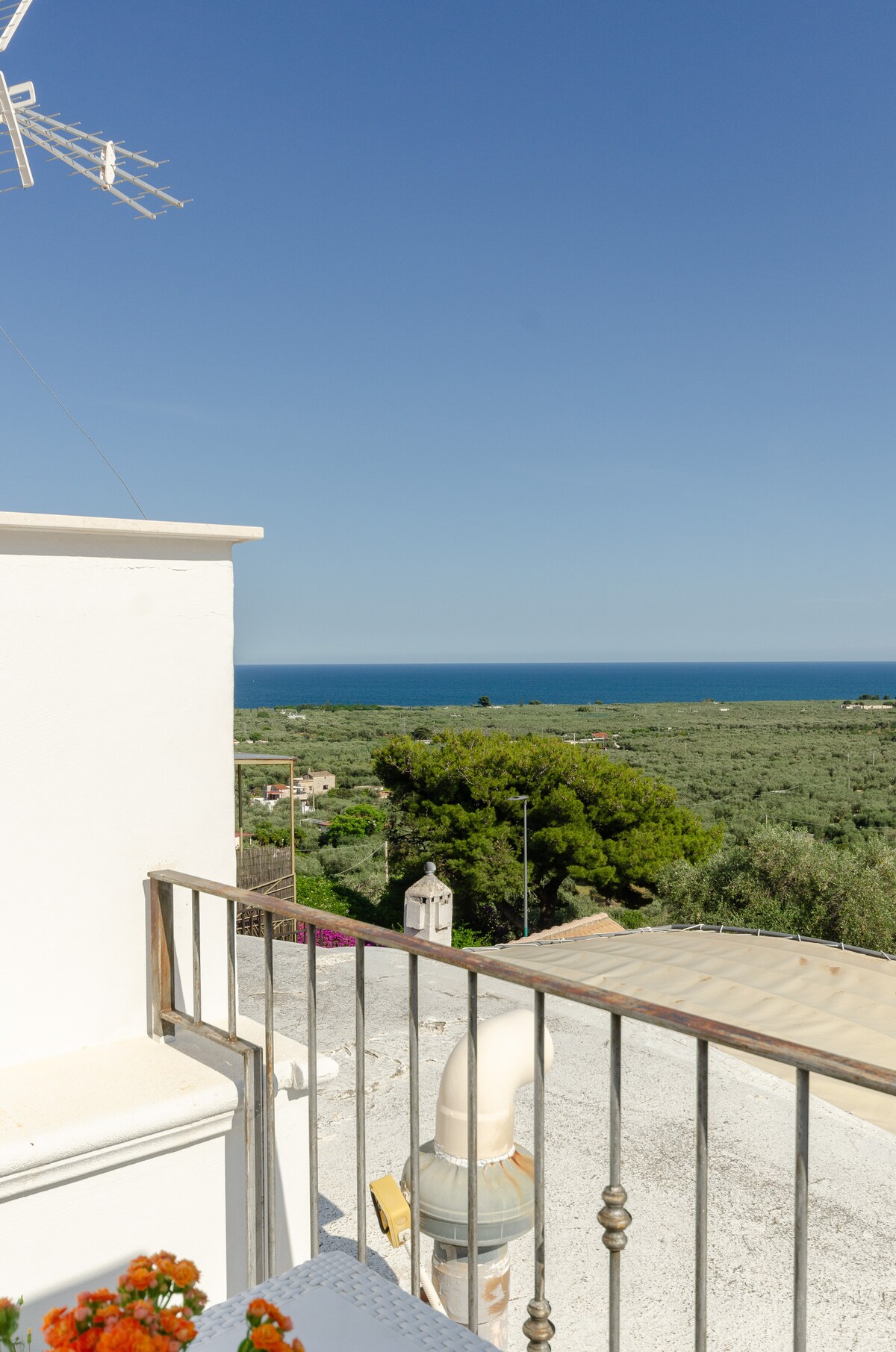 A panoramic view is captured from the terrace, showcasing the vast blue sea meeting the horizon. Lush greenery fills the foreground, dotted with houses. A railing lines the terrace, with a few colorful flowers visible, adding a touch of nature to the serene landscape.