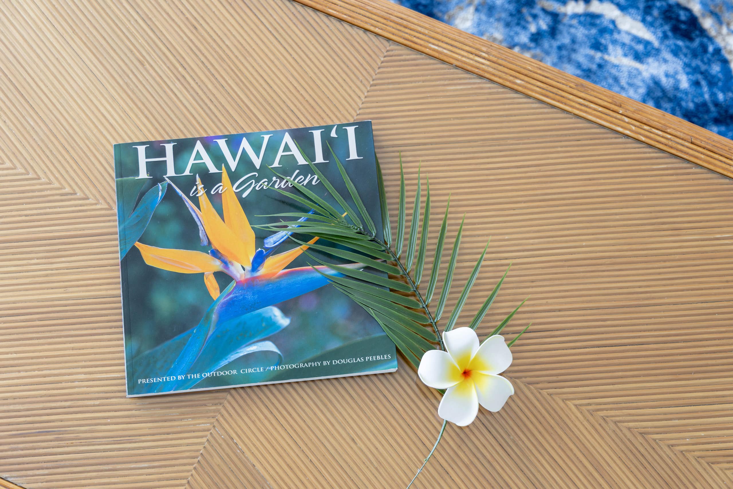 Condo in Honolulu · ★4.85 · 1 bedroom · 2 beds · 1 private bath - Image 17